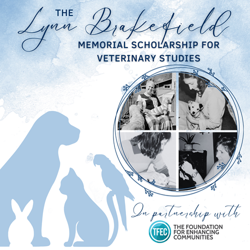 Lynn Brakefield Memorial Scholarship for Aspiring Veterinarians